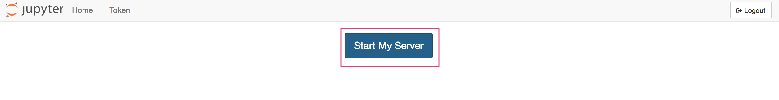 Starting the JupyterLab server
